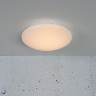 Conservatory Flush Lighting