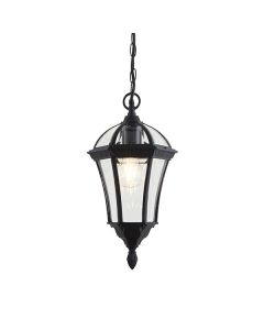 Endon Lighting - Drayton - YG-3503 - Black Clear Glass IP44 Outdoor Ceiling Pendant Light