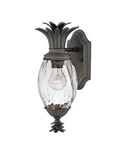 Hinkley Lighting - Plantation - HK-PLANTATION-S-MB - Black Clear Glass IP44 Outdoor Wall Light