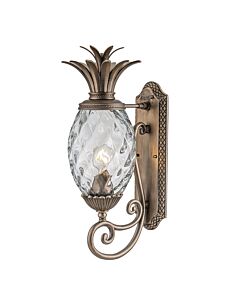 Hinkley Lighting - Plantation - HK-PLANTATION-M-BU - Burnished Bronze Clear Glass IP44 Outdoor Wall Light