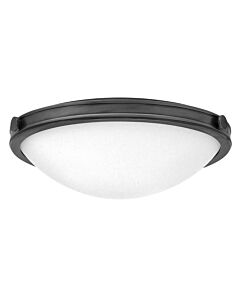 Hinkley Lighting - Collier - HK-COLLIER-F-M-BX - Black Frosted Glass 3 Light Flush Ceiling Light
