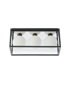 Bale -3lt Matt Black Bathroom Ceiling Light