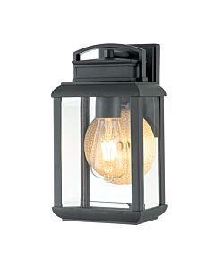 Quoizel Lighting - Byron - QZ-BYRON-S-GR - Black Pewter Clear Glass IP44 Outdoor Wall Light