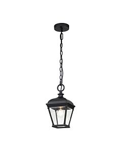 Elstead Lighting - Bayview - BAYVIEW-8M-BK - Black Clear Glass IP44 Outdoor Ceiling Pendant Light