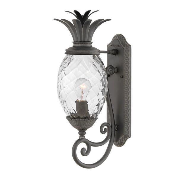 Hinkley Lighting - Plantation - HK-PLANTATION-M-MB - Black Clear Glass IP44 Outdoor Wall Light