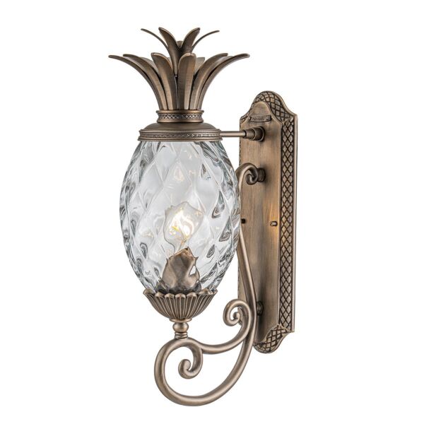 Hinkley Lighting - Plantation - HK-PLANTATION-M-BU - Burnished Bronze Clear Glass IP44 Outdoor Wall Light