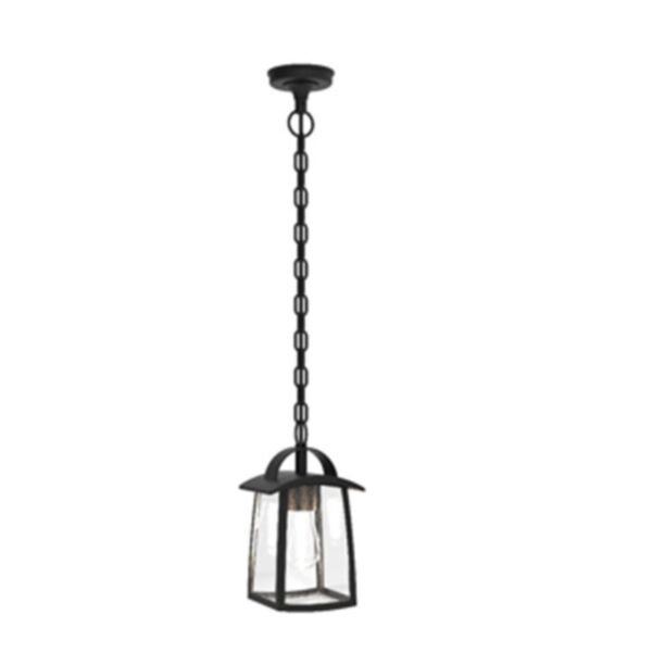 Lutec - Kelsey - 6273601012 - Black Clear Glass IP44 Outdoor Ceiling Pendant Light