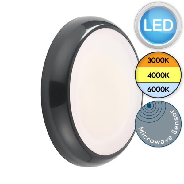 Saxby Lighting - Hero - 95551 & 95541 - LED Anthracite Opal IP65 Microwave Plain Bezel Outdoor Sensor Bulkhead Light