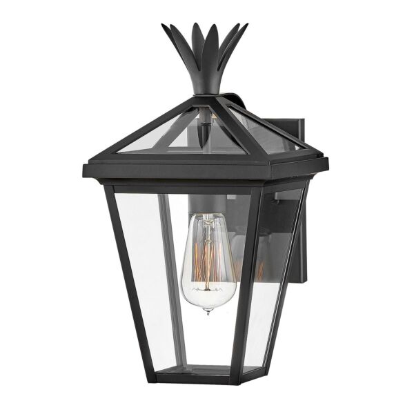 Hinkley Lighting - Palma - HK-PALMA-S-BK - Black Clear Glass IP44 Outdoor Wall Light