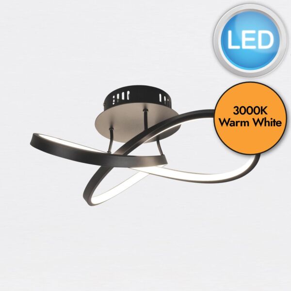 Matt Black LED Loop Ceiling Light