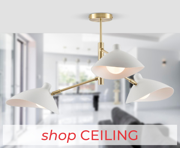 shop_ceiling